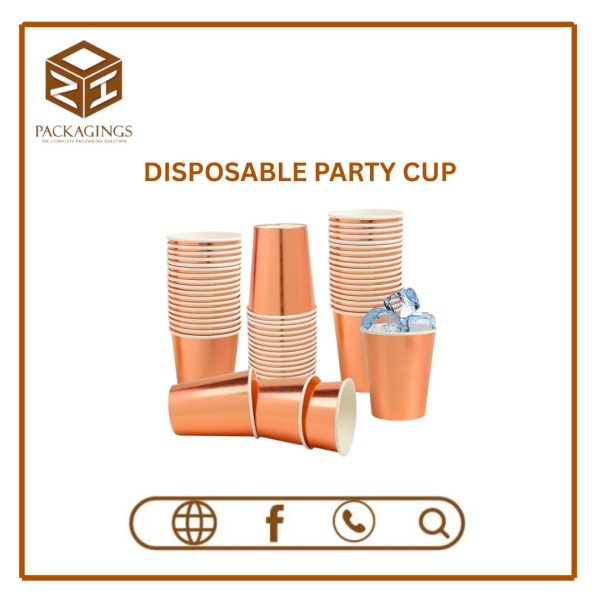 DISPOSABLE PARTY CUP (PACK OF 6)