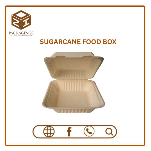 BAGASSE FOOD BOX (Pack Of 50)